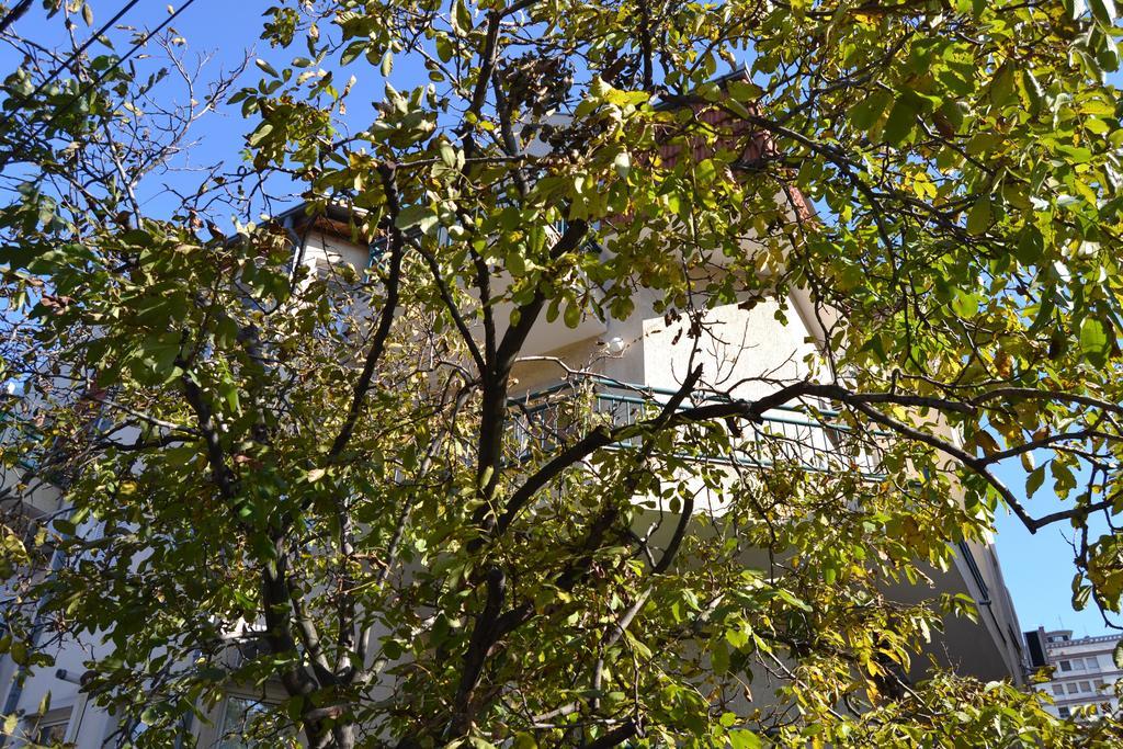 Villa K Apartments Belgrad Pokój zdjęcie